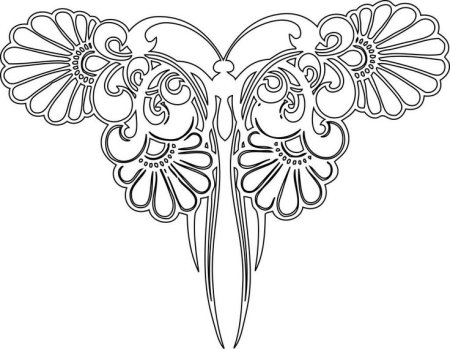 Раскраска бабочка Узорная