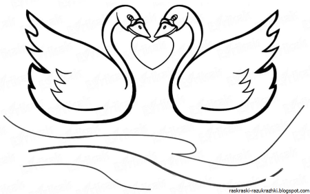 Лебедь контур