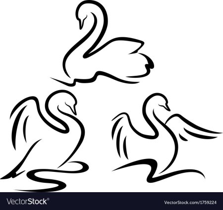 Лебедь вектор
