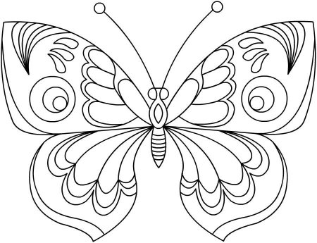Раскраска "бабочки"