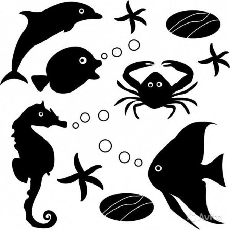 Морская Звездочка раскраска