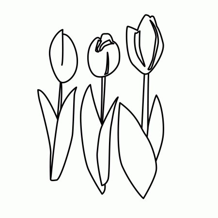 Трафарет тюльпана для вырезания