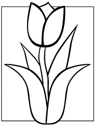 Трафарет тюльпана для стен