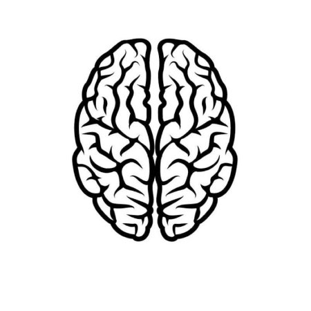 Головной мозг для раскрашивания