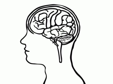 Головной мозг раскраска