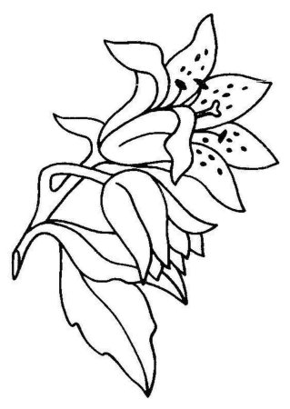 Трафареты цветов для батика