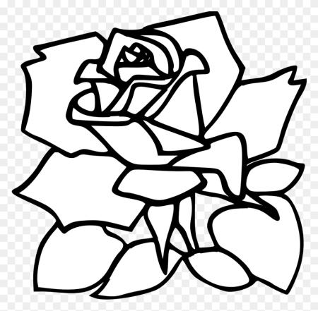 Букет роз трафарет для рисования