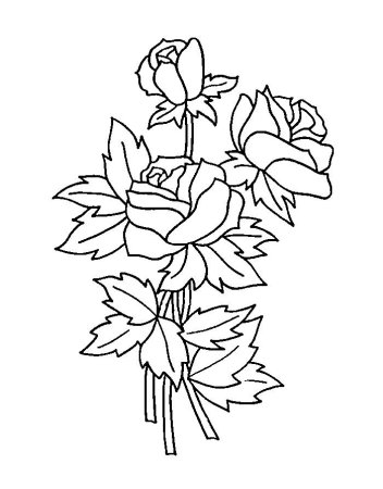 Букет цветов рисунок