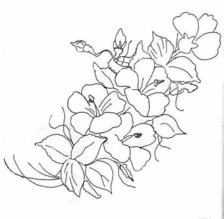 Трафареты для срисовки цветы