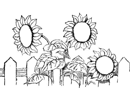 Трафареты насекомых для вырезания