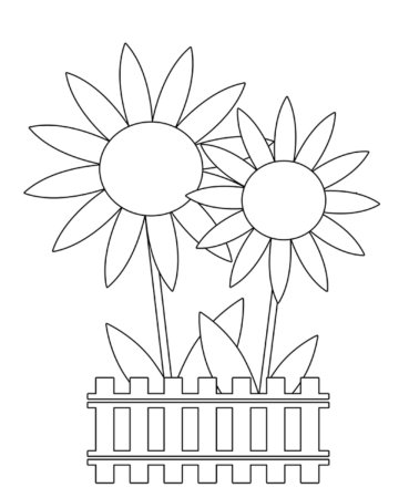 Раскраска "бабочки"