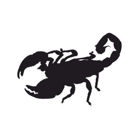 Скорпион трафарет