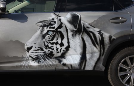 Трафарет языки пламени для аэрографии