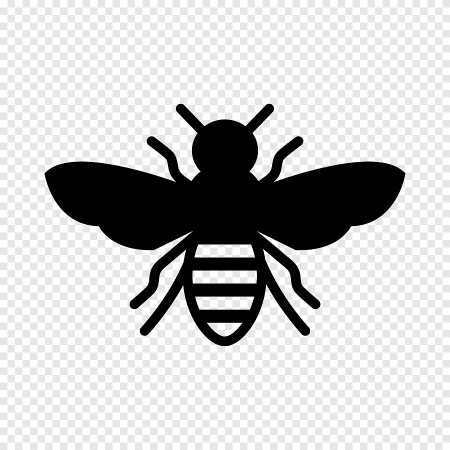 Пчела раскраска для малышей