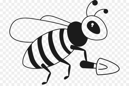 Раскраски пчелы детям 3 года