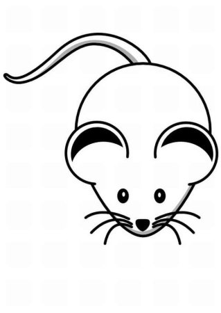 Мышка контур