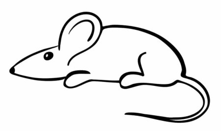 Контур мышки для детей