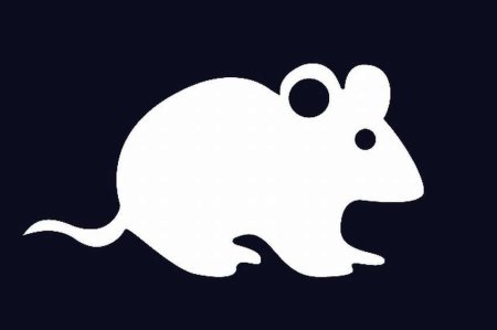 Мышь трафарет для вырезания