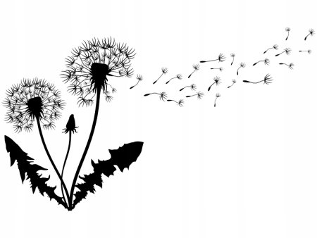 Одуванчик силуэт