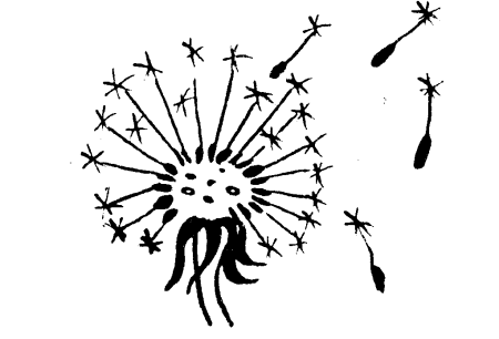 Одуванчик трафарет