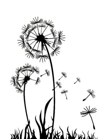 Трафарет одуванчика на стену