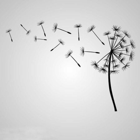 Одуванчик шаблон для рисования