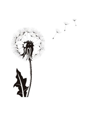 Одуванчик трафарет