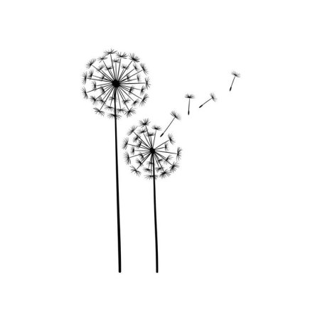 Одуванчик рисунок трафарет