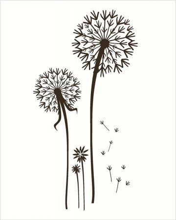 Трафарет одуванчика на стену