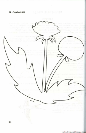 Одуванчик раскраска для малышей