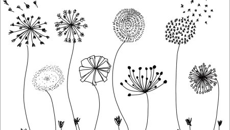 Одуванчик схематично