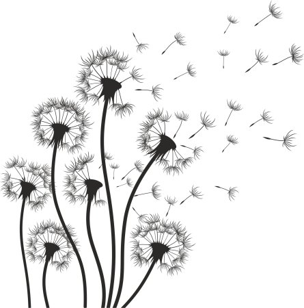 Одуванчик Графика