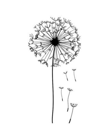 Одуванчик трафарет