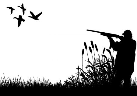 Силуэты животных в лесу