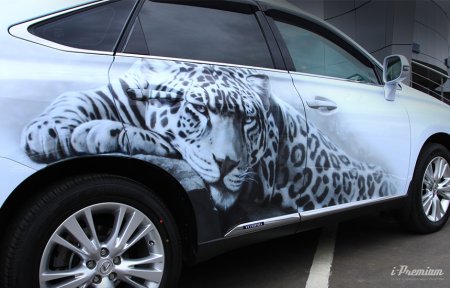 Автовинил в японском стиле