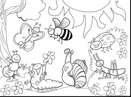 Насекомые раскраска для детей