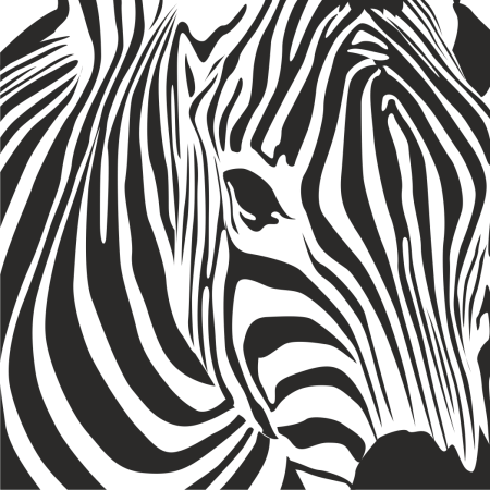 Векторные принты