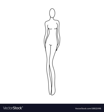 Контур женской фигуры