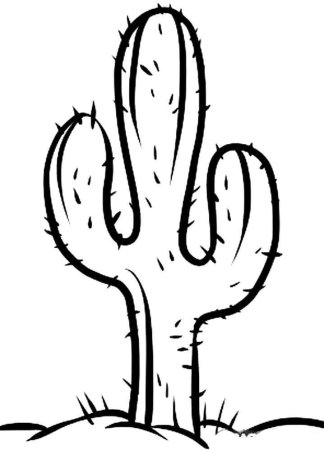 Кактус раскраска для детей