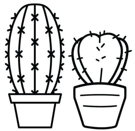 Кактус раскраска для детей