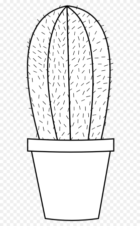 Кактус рисунок