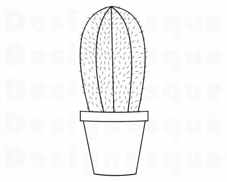 Кактус в горшке раскраска для малышей