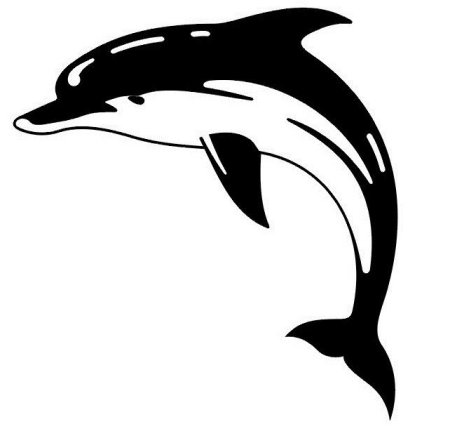 Дельфины тату эскизы