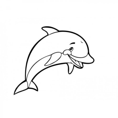 Дельфин раскраска для детей