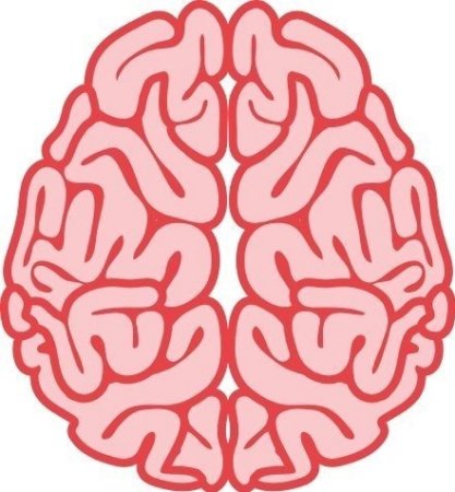 Мозг трафарет