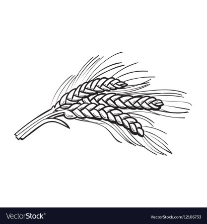 Пшеница узоры черно белый