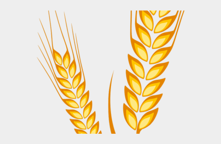 Нарисовать колосок пшеницы