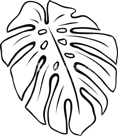 Лист монстеры контур