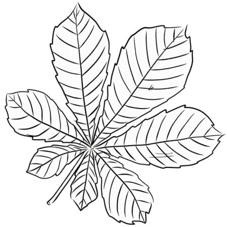 Листочки раскраска