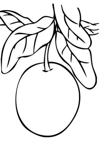 Раскраска фрукты мандарин